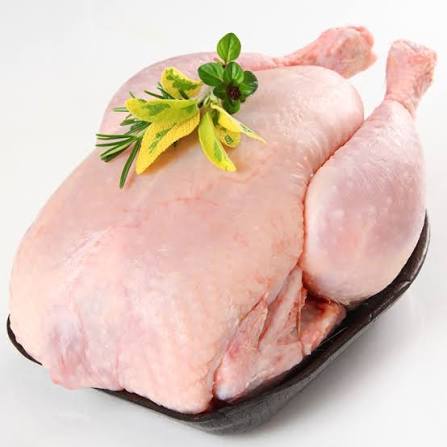 مرغ