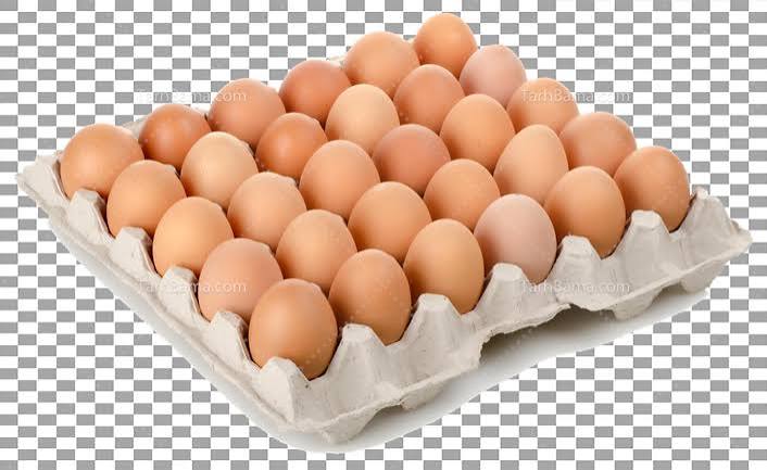 تخم مرغ
